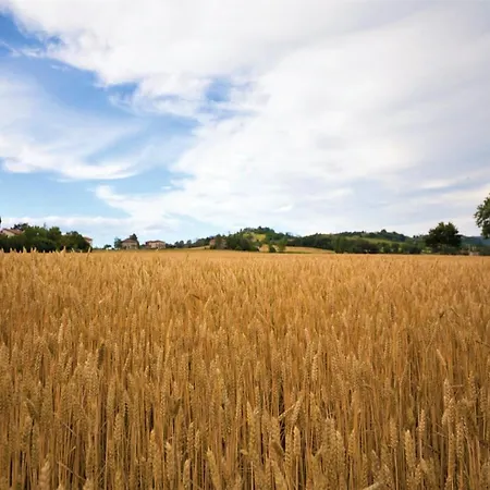 Montecastelli By Mmega * Lisciano Niccone