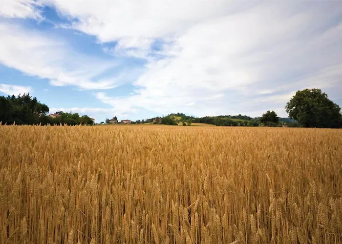 Montecastelli By Mmega * Lisciano Niccone